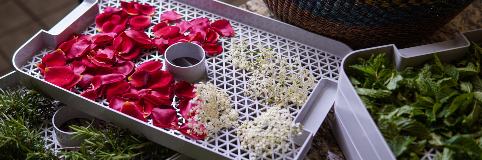 Copy of herbal-trays